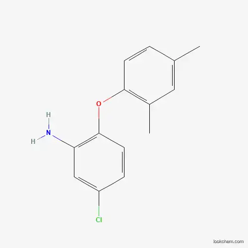 5- 클로로 -2- (2,4-DIMETHYLPHENOXY) 아닐린