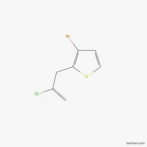 Molecular Structure of 951885-93-1 (3-(3-Bromo-2-thienyl)-2-chloro-1-propene)