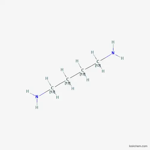 Molecular Structure of 1173023-66-9 (1,4-Diaminobutane-13C4)