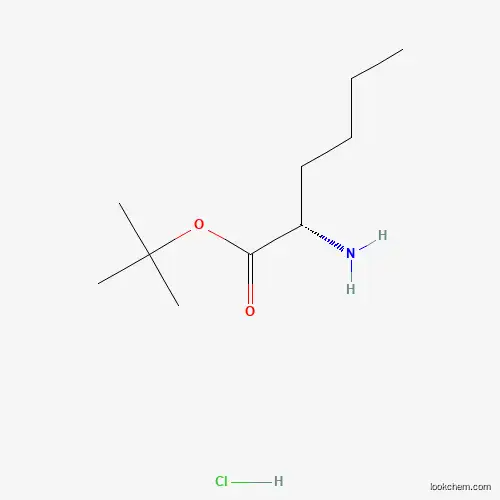 Molecular Structure of 119483-48-6 (Norleucine tert-butyl ester hydrochloride)