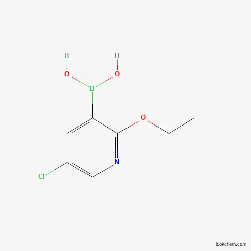 5-Chloro-2-ethoxypyridine-3-boronic acid 1217500-52-1