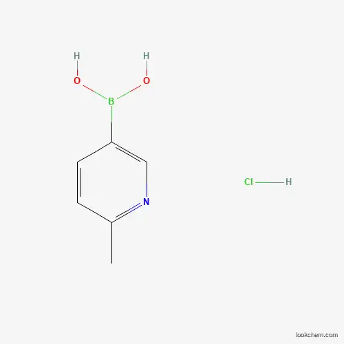 2-Methylpyridine-5-boronic Acid Hydrochloride (contains varying amounts of Anhydride)