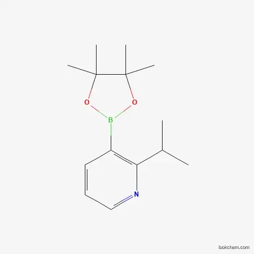 Advantage supply 2096337-14-1  2-Isopropylpyridine-3-boronic acid pinacol ester