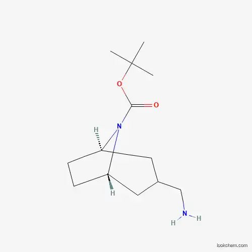 Molecular Structure of 273376-40-2 (exo-3-Aminomethyl-8-Boc-8-azabicyclo[3.2.1]octane)