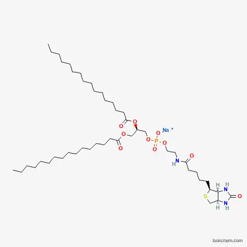 Molecular Structure of 384835-54-5 (Sodium (2R)-2,3-bis(hexadecanoyloxy)propyl 2-({5-[(3aS,4S,6aR)-2-oxohexahydro-1H-thieno[3,4-d]imidazol-4-yl]pentanoyl}amino)ethyl phosphate)