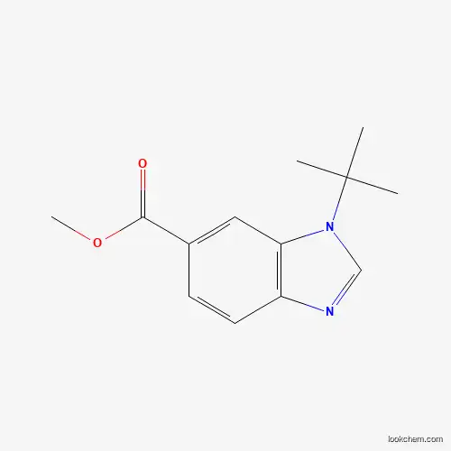 Methyl 1-(tert-butyl)-1H-benzo[d]iMidazole-6-carboxylate