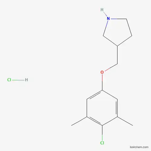 Molecular Structure of 1219971-86-4 (3-[(4-Chloro-3,5-dimethylphenoxy)methyl]-pyrrolidine hydrochloride)