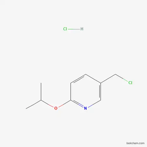 Molecular Structure of 1357945-88-0 (5-(Chloromethyl)-2-isopropoxypyridine hydrochloride)