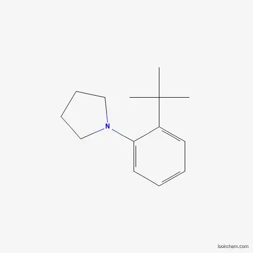 1-[2-tert-Butylphenyl]-Pyrrolidine