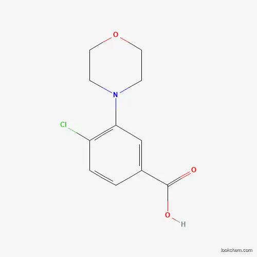 4-클로로-3-모르폴린-4-일-벤조산