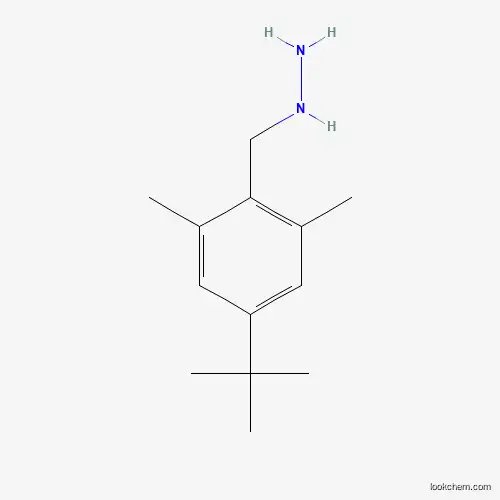 Molecular Structure of 926261-89-4 ((4-Tert-butyl-2,6-dimethylbenzyl)hydrazine)