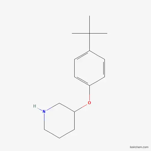3-[4-(tert-부틸)페녹시]피페리딘