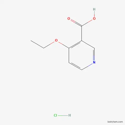 Molecular Structure of 10177-33-0 (4-Ethoxypyridine-3-carboxylic acid hydrochloride)