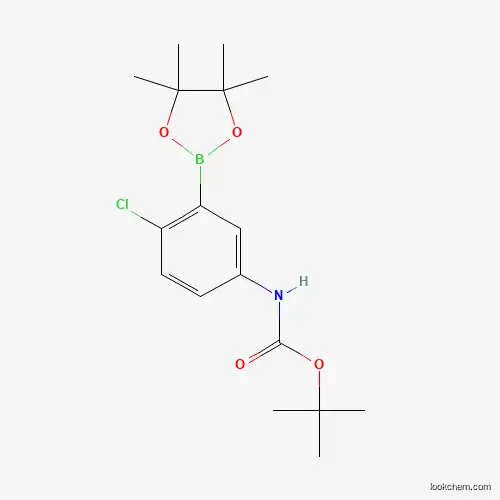 5-BOC-Amino-2-chlorophenylboronic acid pinacol ester