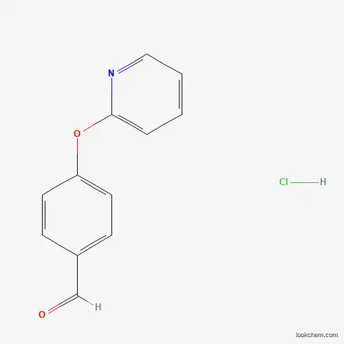 4-(피리딘-2-일록시)벤잘데하이드 HCL
