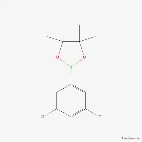 3-Chloro-5-fluoro-(4,4,5,5-tetramethyl-1,3,2-dioxaborolan-2-yl)benzene 1245524-02-0