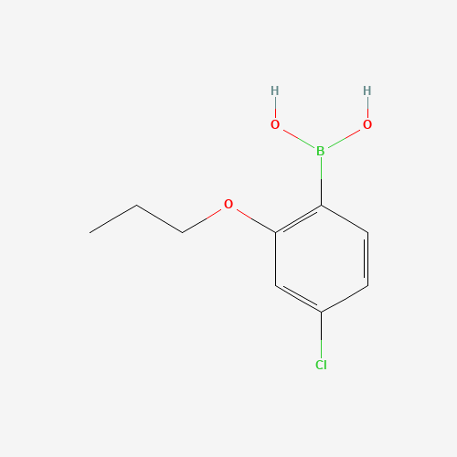 4-Chloro-2-propoxyphenylboronic acid