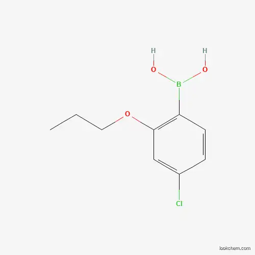 Molecular Structure of 1256355-03-9 ((4-Chloro-2-propoxyphenyl)boronic acid)