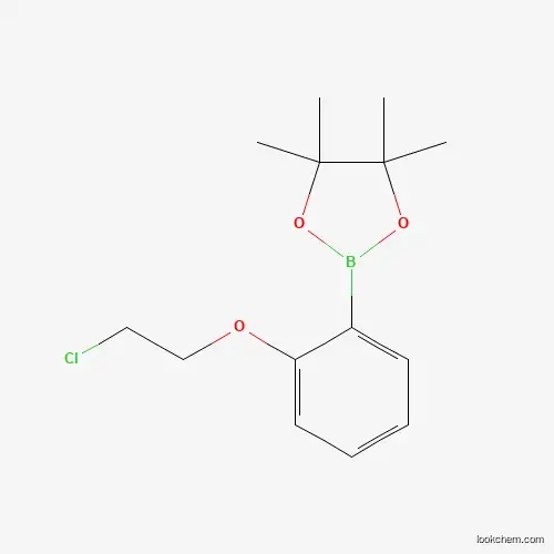 2-(2-Chloroethoxy)phenylboronic acid pinacol ester