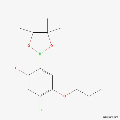 4-Chloro-2-fluoro-5-propoxyphenylboronic acid pinacol ester