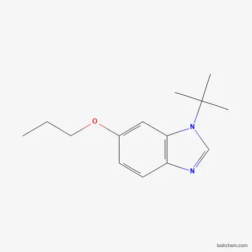 1-tert-Butyl-6-propoxybenzimidazole