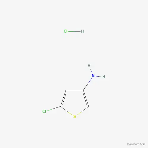 5-Chlorothiophen-3-amine hydrochloride