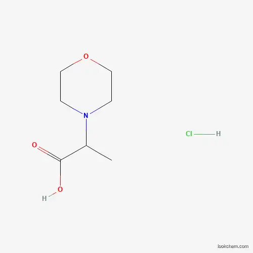 Molecular Structure of 161907-45-5 (2-Morpholin-4-yl-propionic acid hydrochloride)