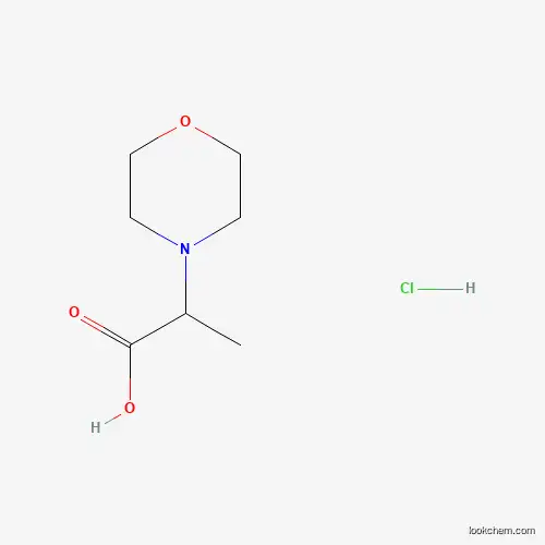 2-MORPHOLIN-4-YLPROPANOIC ACID