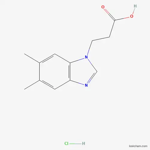 3-(5,6-Dimethyl-1H-benzimidazol-1-yl)propanoic acid hydrochloride