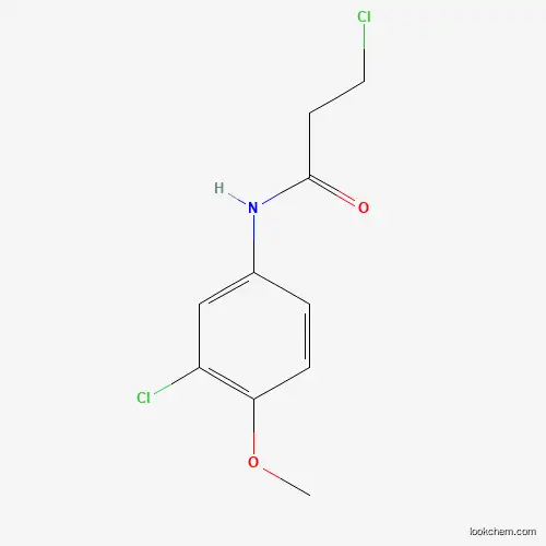 Molecular Structure of 449170-55-2 (3-chloro-N-(3-chloro-4-methoxyphenyl)propanamide)