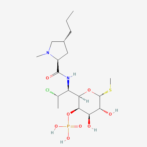 Clindamycin 4-PhosphateDISCONTINUED