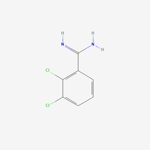 2,3-Dichloro-benzamidine