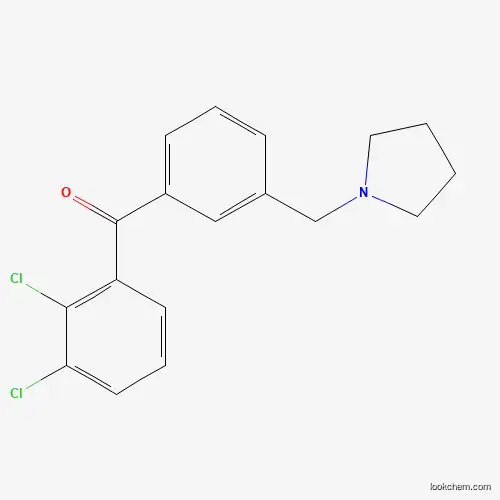 2,3-DICHLORO-3'-PYRROLIDINOMETHYL BENZOPHENONE