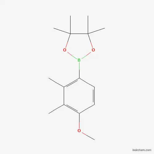 4,4,5,5-TETRAMETHYL-2-(2,3-DIMETHYL-4-METHOXYPHENYL)-[1,3,2]DIOXABOROLANE