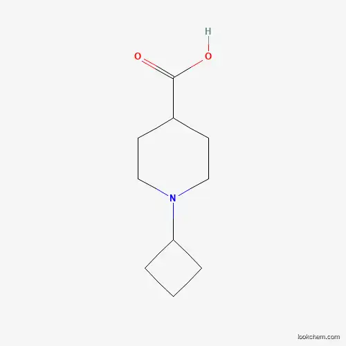 1-시클로부틸-피페리딘-4-카르복실산