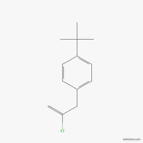 Molecular Structure of 951890-70-3 (3-(4-Tert-butylphenyl)-2-chloro-1-propene)