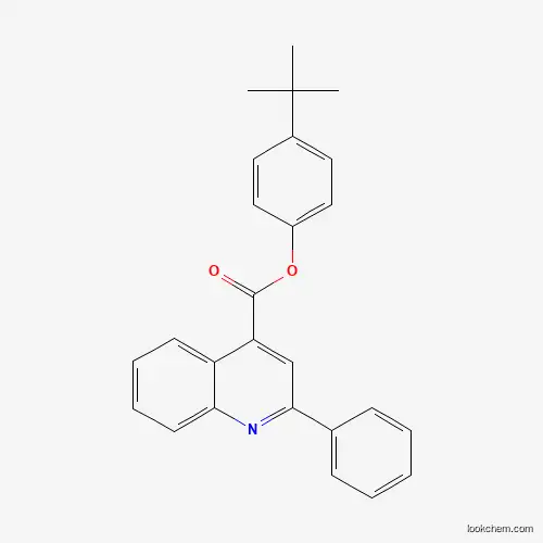 4-tert-부틸페닐 2-페닐-4-퀴놀린카르복실레이트