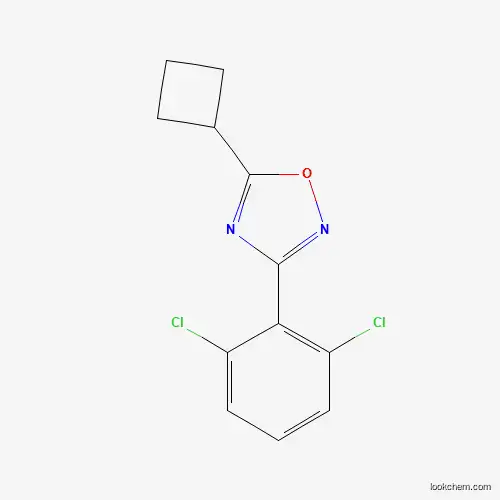 Molecular Structure of 680216-11-9 (5-Cyclobutyl-3-(2,6-dichlorophenyl)-1,2,4-oxadiazole)