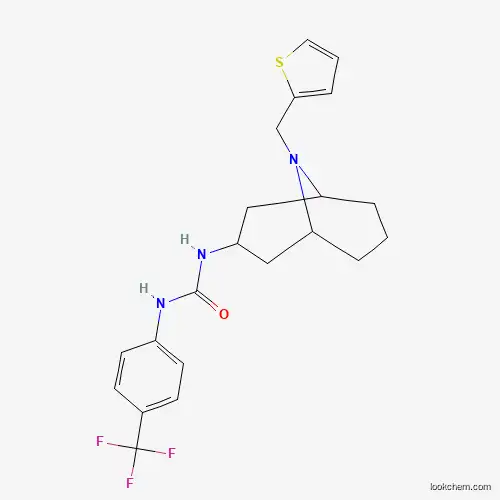 Molecular Structure of 957500-73-1 (N-[9-(2-Thienylmethyl)-9-azabicyclo[3.3.1]non-3-yl]-N'-[4-(trifluoromethyl)phenyl]urea)