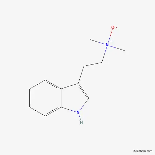 N,N-Dimethyltryptamine Oxide