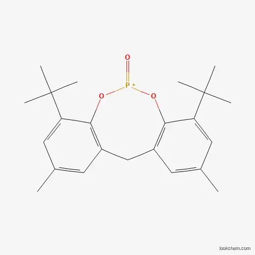 Molecular Structure of 124456-30-0 (1,9-ditert-butyl-3,7-dimethyl-5H-benzo[d][1,3,2]benzodioxaphosphocine 11-oxide)