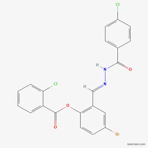SALOR-INT L392685-1EA