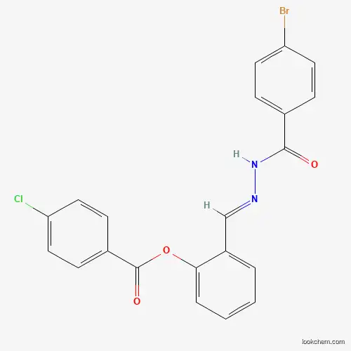 SALOR-INT L462934-1EA