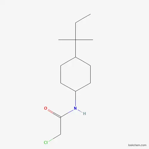 Molecular Structure of 874623-19-5 (2-chloro-N-[4-(2-methylbutan-2-yl)cyclohexyl]acetamide)