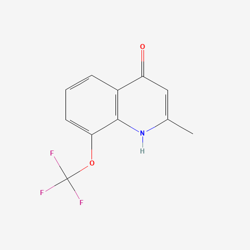 Molecular Structure of 1204997-10-3 (4-Hydroxy-2-methyl-8-trifluoromethoxyquinoline)