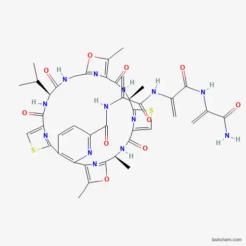 Promothiocin B
