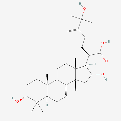 Molecular Structure of 167775-55-5 (25-Hydroxy-3-epidehydrotumulosic acid)