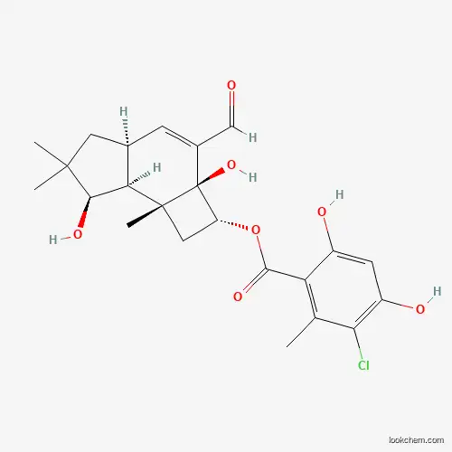 Melleolide L