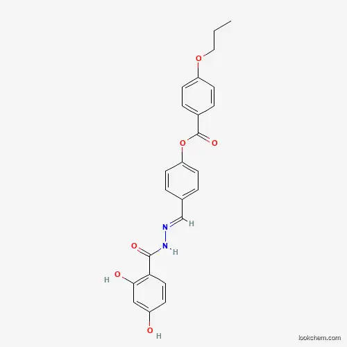 SALOR-INT L456217-1EA