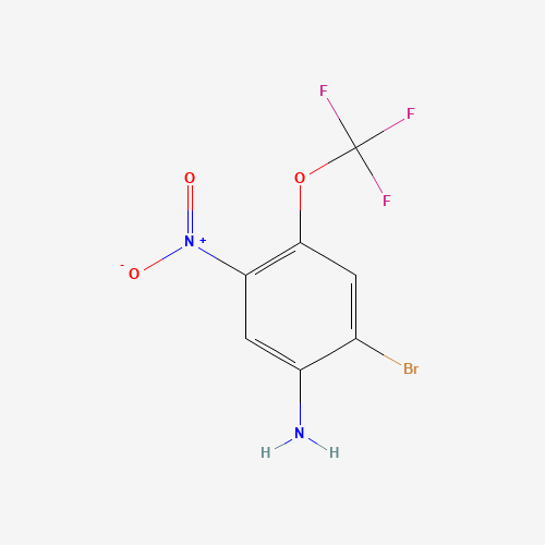 2-Bromo-5-nitro-4-trifluoromethoxyaniline